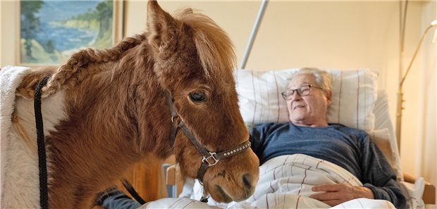 Pony Pauline zu Gast im Altenheim Erwin Seidler, Bewohner im Altenhilfezentrum Johannishof, liegt im Krankenbett und hat Besuch von Pony Pauline