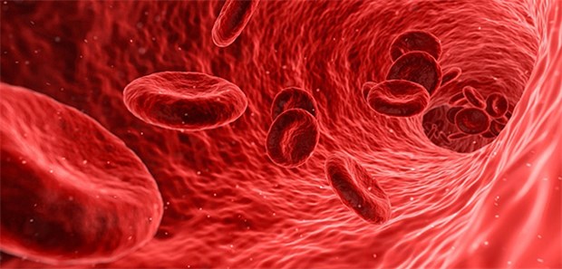 Bloss kein Sparkurs bei Transfusionsmedizin! Erythrozyt in der Blutbahn: Zwei Ärzte sprechen sich gegen das Sparen in der Transplantationsmedizin aus.