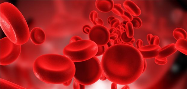 Erythrozyten: Eine neue Substanz fördert die Erythropoese, Eisenfreisetzung und -resorption bei renaler Anämie.