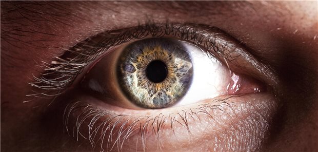 Es gibt Hinweise, dass sowohl GLP1-Rezeptoragonisten als auch eine metabolische Adipositas Komplikationen am Auge auslösen.