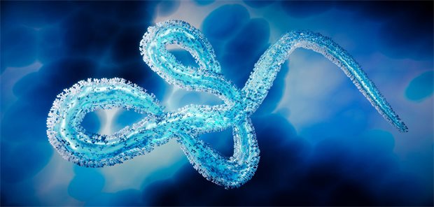Ebolavirus
