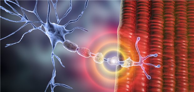 Es gibt viele Ursachen für Nervenschädigungen. Regenerationsprozesse sind möglich, aber häufig sehr langwierig.