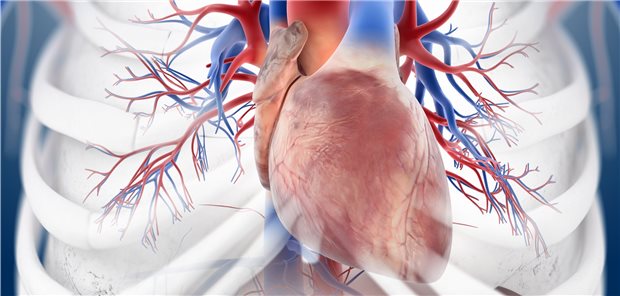 Herzinsuffizienz mit erhaltener Auswurfleistung: Vericiguat enttäuscht Es mangelt immer noch an wirksamen Therapien für Patienten mit Herzinsuffizienz mit weitgehend erhaltener Auswurffraktion (HFpEF). Die Suche muss also weitergehen.