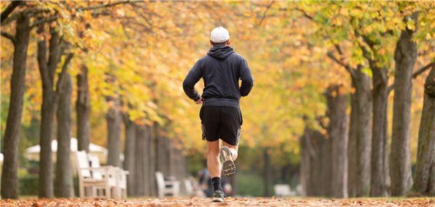 Deutsche im internationalen Vergleich viel zu träge Es muss gar nicht mal Joggen sein, auch Gehen reicht schon, rät die WHO in Sachen Bewegung.