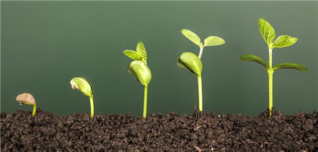 MVZ gedeihen im Gegenwind Es sprießt in der MVZ-Landschaft.