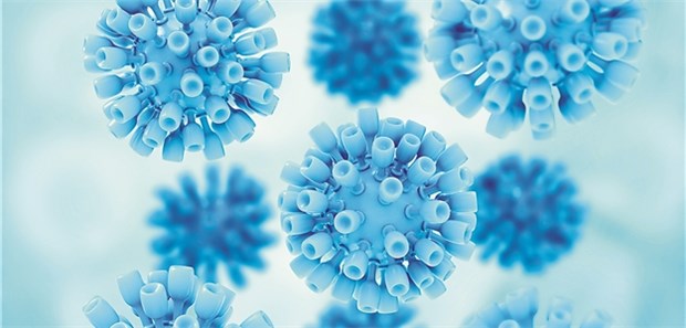 Hepatitisviren lauern auf Fingernägeln und Nagelscheren Etwa jeder dritte Mensch macht im Lauf seines Lebens eine HBV-Infektion durch.