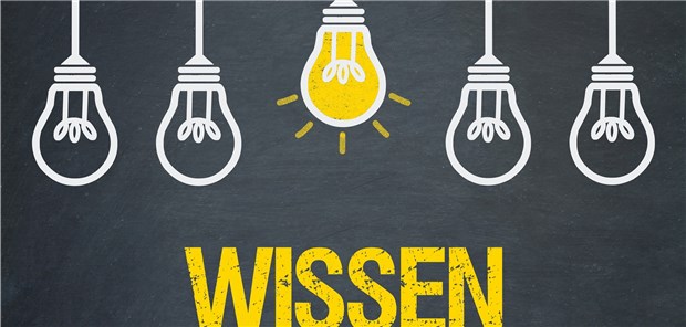 Nationales Gesundheitsportal soll Mitte 2020 starten Evidenzbasierte Infos aus einem Nationalen Gesundheitsportal sollen künftig die Gesundheitskompetenz der Bürger verbessern helfen.