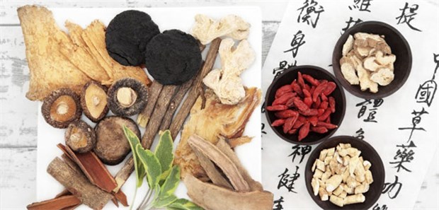 Traditionelle asiatische Medizin mehr nutzen Experten diskutieren in Kiel über den Nutzen traditioneller asiatischer Medizin.