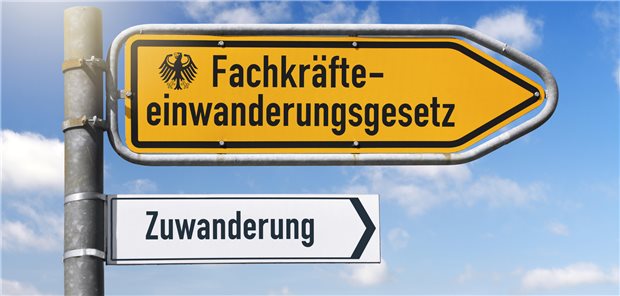Fachkräfte, die nach Deutschland kommen möchten, wünschen sich mehr Unterstützung – und hadern auch mit der Willkommenskultur.