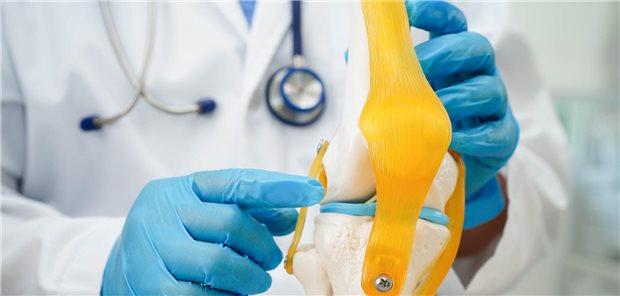 Ein Orthopäde erklärt anhand des Modell eines Kniegelenks das Prinzip eine Knieendoprothese.