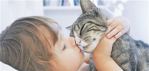 So lassen sich Allergien früh verhindern Familien mit erhöhtem Allergierisiko sollten keine Katzen anschaffen.
