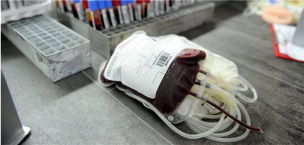 Fast 12.000 Blutspenden wurden seit April auf Antikörper gegen SARS-CoV-2 getestet.