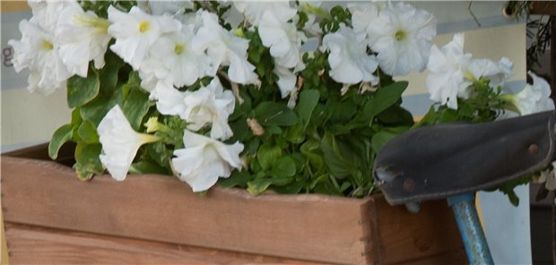Fast schon südländisches Flair: In Zempin in Mecklenburg-Vorpommern machen Eigentümer auf ihre Ferienwohnungen aufmerksam.