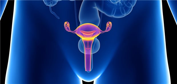 Fertilitätserhaltende Op wegen eines Borderlinetumor des Ovars