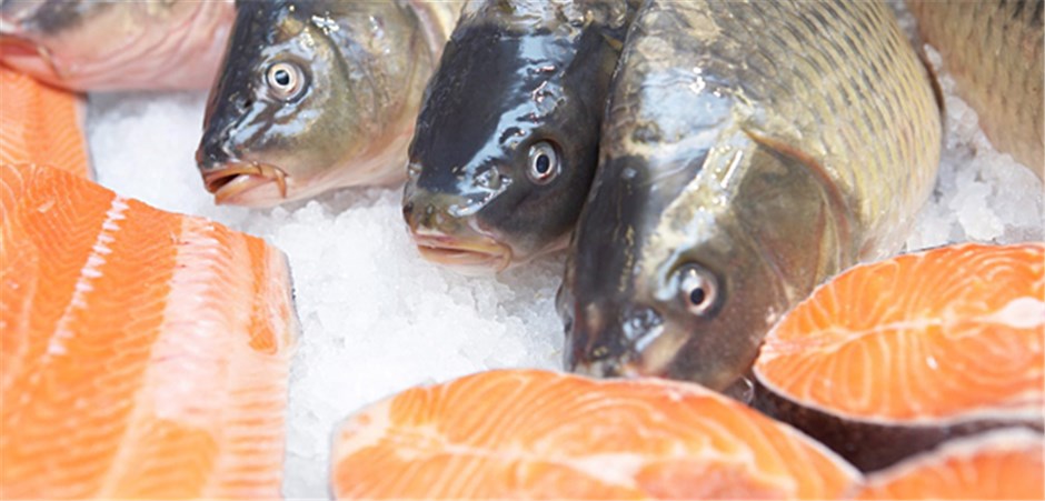 Nicht Fisch, nicht Fleisch, sondern...