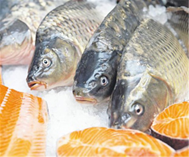 Fischöl schützt Nachwuchs kaum vor Allergie Fischöl enthält langkettige Omega-3-Fettsäuren.