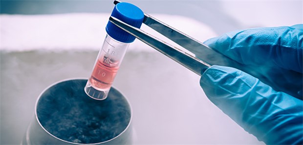 HIV-Remission bei zweitem Patienten Flüssiger Stickstoff mit Stammzellen. Einem HIV-Patienten hat jetzt eine Stammzelltransplantation möglicherweiser eine Heilung ermöglicht.