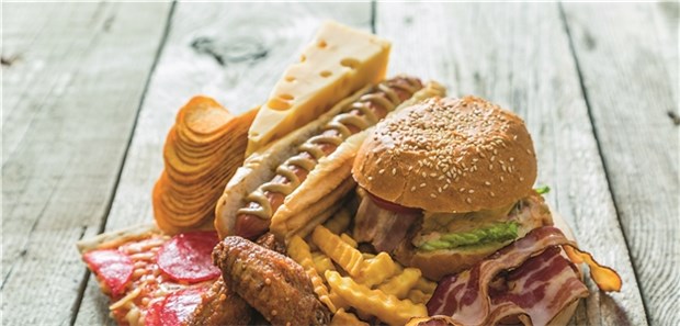 Fettsäurehypothese bei MS erhält neue Nahrung Fördert eine Ernährung mit viel Zucker und Tierfett die Entstehung einer MS?
