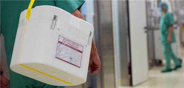 FDP drängt auf Änderung der Todesdefinition bei Organspenden Fokus auf Organspende: Welche Regeln sollen für die Entnahme von Spenderorganen gelten?