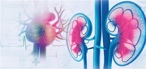 Fokus auf chronische Nierenerkrankung: Betroffene Rheumapatienten haben ein besonders hohes kardiovaskuläres Risiko.