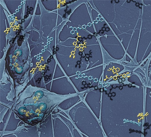 Winzlinge transportieren Wirkstoffe Formeln kleiner Moleküle, projiziert auf die elektronenmikroskopische Aufnahme von Neuronen.