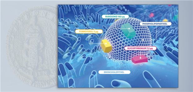 Formoterolfumarat, Glycopyrronium und Budesonid sind an Phospholipid-Nanosphären gebunden, die mit dem Surfactant des Lungenepithels verschmelzen. Dadurch wird die Aufnahme der drei Wirkstoffe erleichtert. 