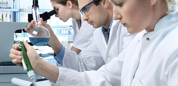 Kreativität leidet unterm Management Forscher im Hamsterrad: Wo bleibt die Kreativität?