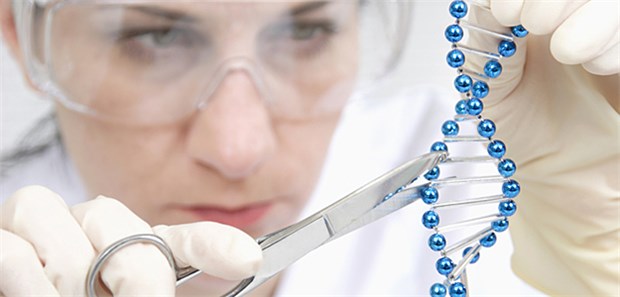 Gentechnik oder nicht, das ist hier die Frage Forscher sehen enormes Potenzial in der Crispr-Technologie. Vermutlich kann mit der Genschere nicht nur DNA, sondern auch RNA bearbeitet werden.