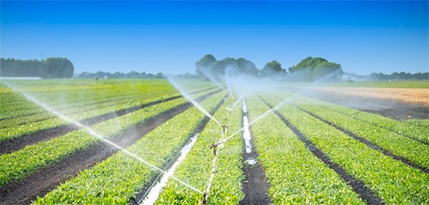Insektensterben durch Antibiotika im Wasser? Forscher sind durch eine Studie alarmiert: Insekten könnten durch mit Antibiotikaresten kontaminiertes Wasser, das auch in der Landwirtschaft genutzt wird, geschädigt werden.