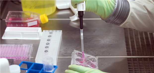 Forschung auf höchstem Niveau ist laut aktueller Studie eine Stellschraube, um den Pharmastandort Deutschland wieder zu festigen.
