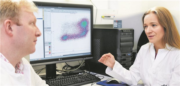 Forschung für die Optimierung der Nierentransplantation: Dr. James Hutchinson und Dr. Paloma Riquelme vom Uniklinikum Regensburg bei der Datenanalyse.