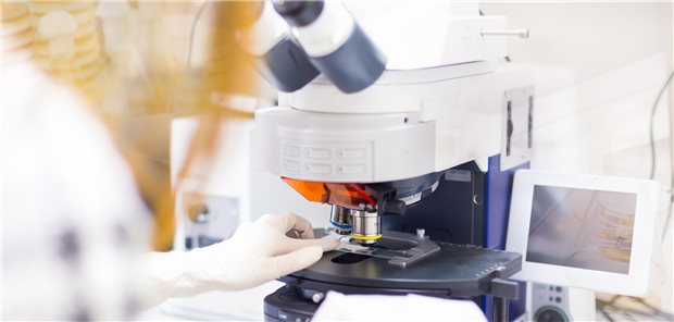 Forschung mit dem Fluoreszenzmikroskop. (Symbolbild)