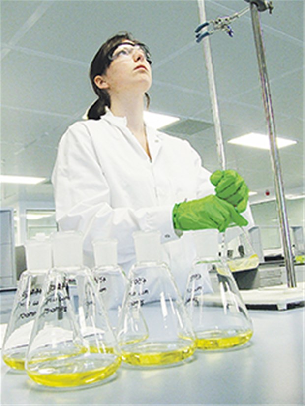 Novartis glänzt 2010 mit zweistelligem Wachstum Forschung wird bei Novartis großgeschrieben. 2010 wurde dafür die Sparte Vaccines and Diagnostics umstrukturiert.
