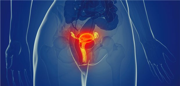 Fortpflanzungsorgane im Blick: Für den Erhalt der Fertilität bei jungen Krebspatienten gibt es verschiedene Optionen.
