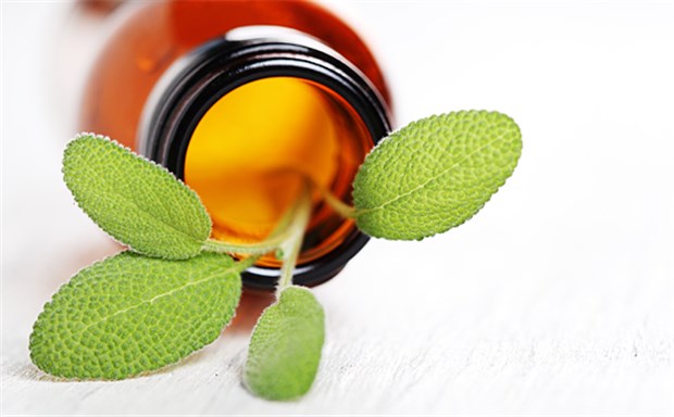 Verbraucher vertrauen weiter auf homöopathische Arzneimittel Fragebogenaktion in Apotheken: Das Interesse der Verbraucher an Homöopathika ist hoch.