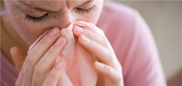 Frau mit Schnupfen: In einer US-amerikanischen Fall-Kontroll-Studie erwies sich die Statinmedikation als-protektiver Faktor einer chronischen Rhinosinusitis.
