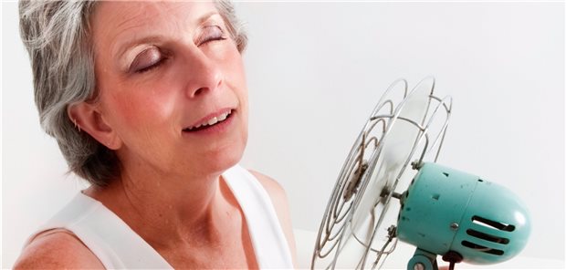 Frauen mit Hitzewallungen hilft nicht nur der Ventilator (im Bild), auch Cimicifuga-Extrakte sind eine Option. 