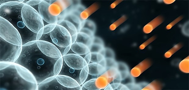 Wie Radikale vor einer Infektion schützen Freie Radikale scheinen schwere Malaria verhindern zu können.