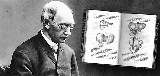 Streiter für die Einheit der Inneren Medizin Friedrich Theodor von Frerichs. Im Hintergrund zwei Seiten seines Werks „Klinik der Leberkrankheiten“.
