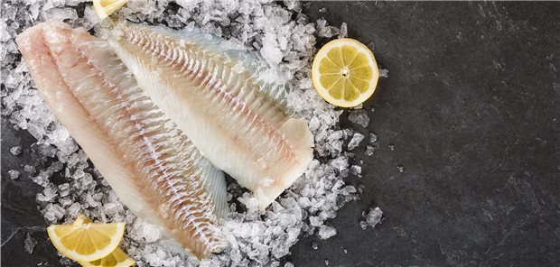 Kontrolleure finden Desinfektionsmittel in Fisch Frisch, gekühlt und ohne Desinfektionsmittel: So sollte Pangasius-Filet sein.