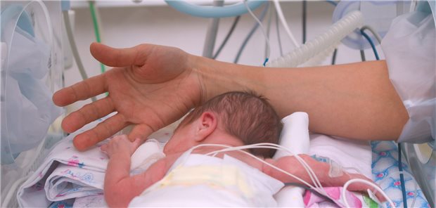 Frühchen in einem Inkubator: Die neonatologischen Stationen in Brandenburg verzeichnen weiterhin gute Ergebnisse.
