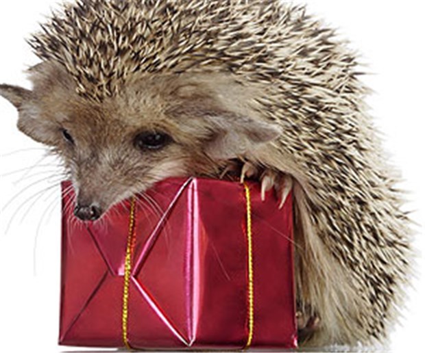 Viel Lärm um nichts Für IGeL gab es nicht viele staatliche Geschenke.