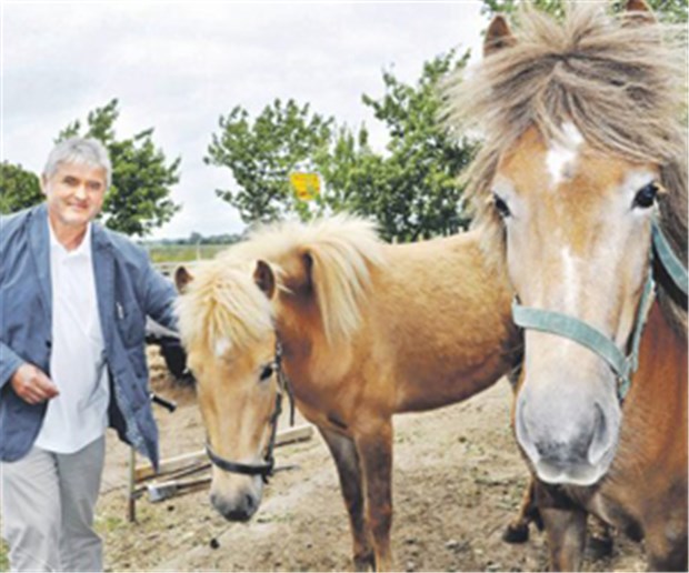 Traumberuf Hausarzt in Woldegk Für Naturliebhaber Richard Bader ist Woldegk ein Eldorado. Die beiden Isländer sind nur zwei seiner vielen Tiere.