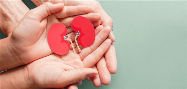 Zahl der Organspenden erneut gesunken Für das Jahr 2022 verzeichnet die Deutsche Stiftung Organtransplantation 869 Menschen, die ein oder mehrere Organe gespendet haben. 2021 waren es noch 933 Spender.