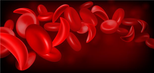 Für das Medikament Adakveo (Crizanlizumab) zur Anwendung bei Sichelzellkrankheit liegen nun vorläufige Ergebnisse der Phase-III-Studie CSEG101A2301 (STAND) vor.