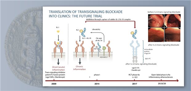 Für eine effektive Kontrolle des Entzündungsgeschehens bei chronisch-entzündlichen Darmerkrankungen (CED) wie Morbus Crohn und Colitis ulcerosa (CU) besteht weiterhin ein hoher Bedarf. Denn aktuelle Therapien sind nur bei einem Teil der Patienten wirksam. Professor Stefan Schreiber und seine Mitarbeiter verfolgen einen Therapieansatz, der auf einer selektiven Blockade des löslichen IL-6-Rezeptors durch das Fusionsprotein Olamkicept beruht. Eine erste Phase-IIb-Studie zeigt, dass dieser Ansatz ein neues immunomodulatorisches Konzept bei CED ist.