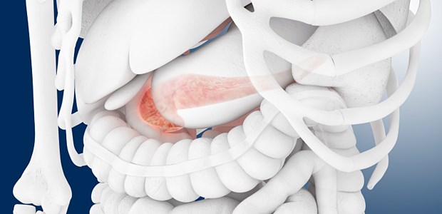 EMA gibt Entwarnung GLP-1-basierte Diabetes-Therapien schädigen nach derzeitigen Erkenntnissen das Pankreas nicht.