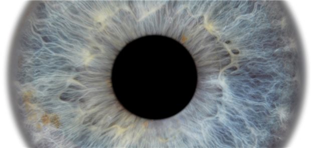 Ganz genau hinschauen heißt auch die Devise bei Kostenvoranschlägen für eine private Augen-Op.