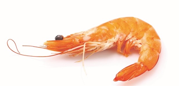 Wenn Überempfindlichkeiten die Karriere gefährden Garnelen lösten Anaphylaxie aus.