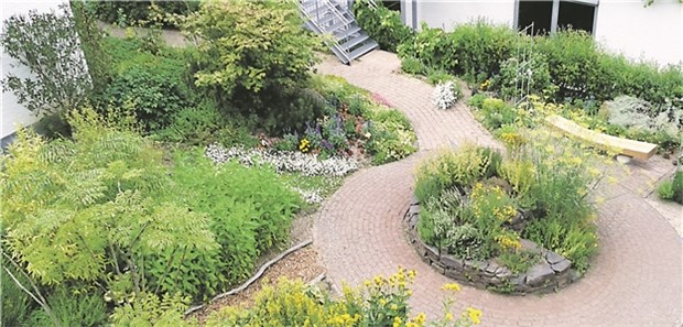 Natur als Ressource Garten der Sinne in der Mittelrhein-Klinik Boppard, Baumwurzel als Krake.
